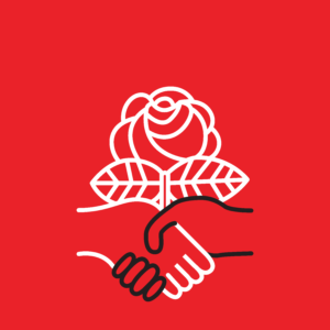 DSA Logo