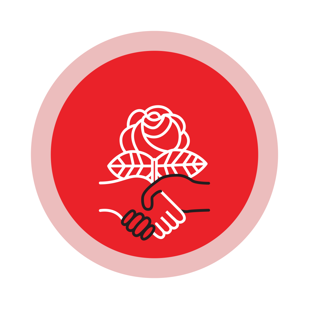 DSA Logo