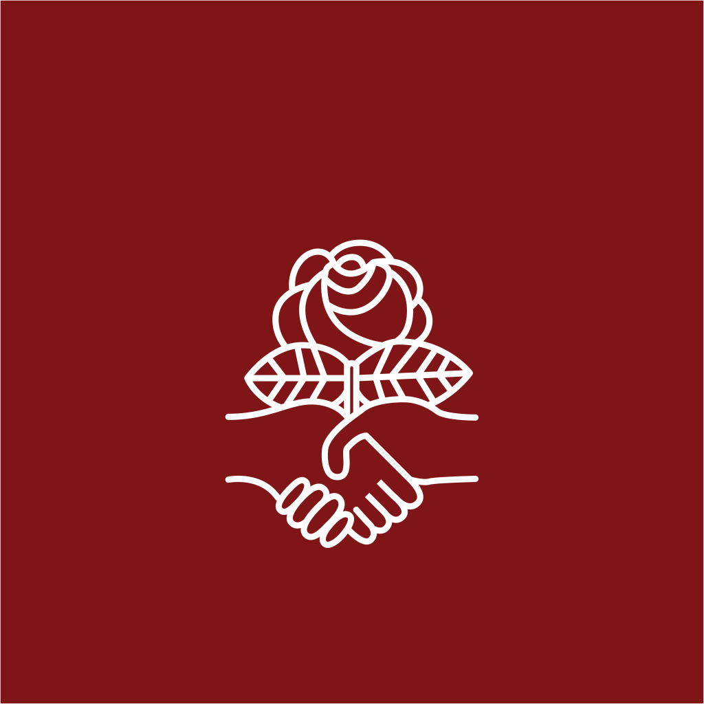 DSA Logo Dark